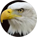 Fernando Noales Rodríguez-Flores profile picture
